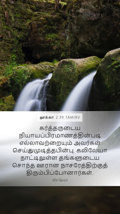 லூக்கா 2:39 TAMIRV Bible Verse Image