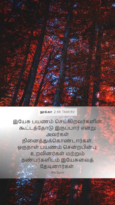 லூக்கா 2:44 TAMIRV Bible Verse Image