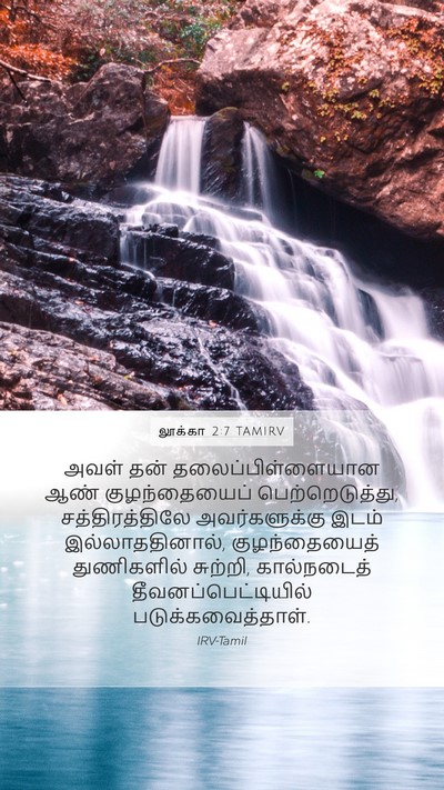 லூக்கா 2:7 TAMIRV Bible Verse Image