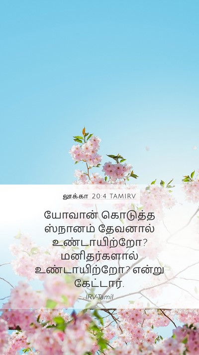 லூக்கா 20:4 TAMIRV Mobile Phone Wallpaper - யோவான் கொடுத்த - Mobile Bible Verse Wallpaper