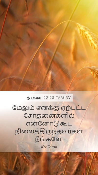 லூக்கா 22:28 TAMIRV Bible Verse Image