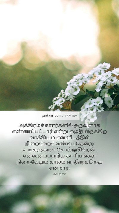 லூக்கா 22:37 TAMIRV Bible Verse Image