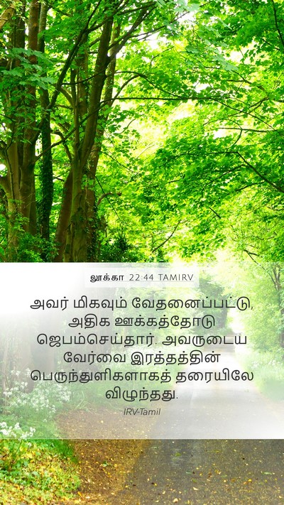 லூக்கா 22:44 TAMIRV Bible Verse Image