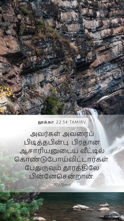 லூக்கா 22:54 TAMIRV Bible Verse Image