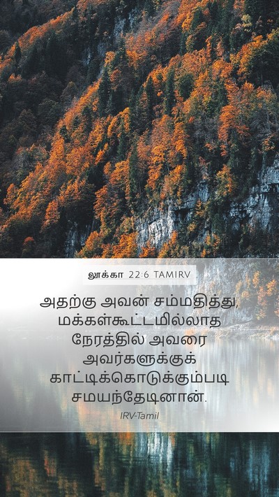 லூக்கா 22:6 TAMIRV Mobile Phone Wallpaper - அதற்கு அவன் - Mobile Bible Verse Wallpaper