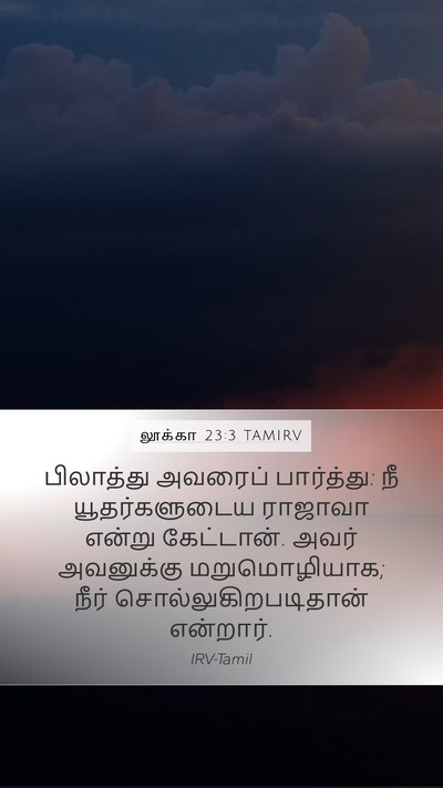 லூக்கா 23:3 TAMIRV Mobile Phone Wallpaper - பிலாத்து அவரைப் - Mobile Bible Verse Wallpaper