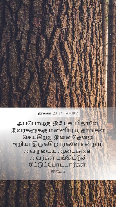லூக்கா 23:34 TAMIRV Bible Verse Image