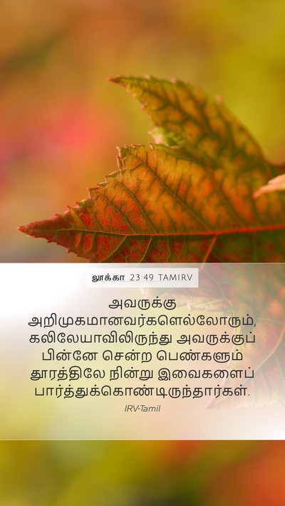 லூக்கா 23:49 TAMIRV Bible Verse Image