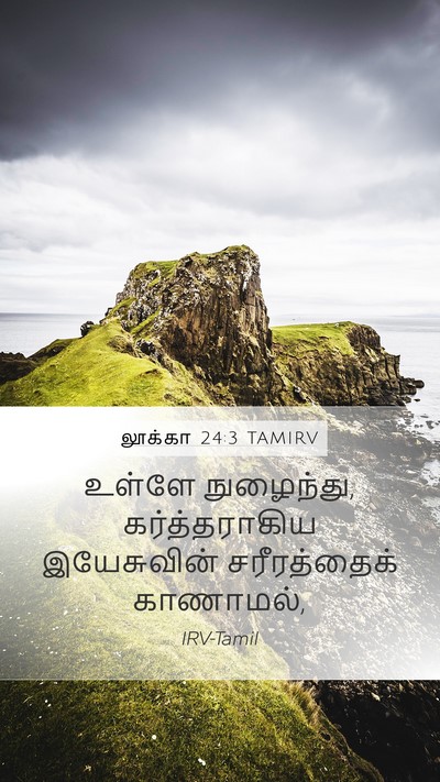 லூக்கா 24:3 TAMIRV Bible Verse Image