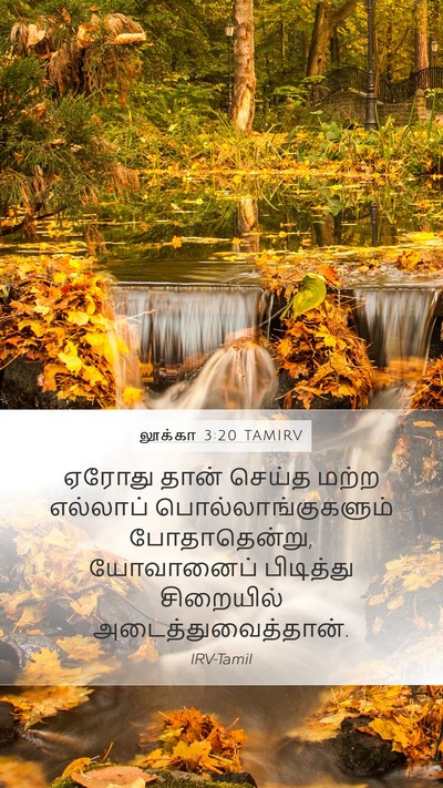 லூக்கா 3:20 TAMIRV Mobile Phone Wallpaper - ஏரோது தான் செய்த - Mobile Bible Verse Wallpaper