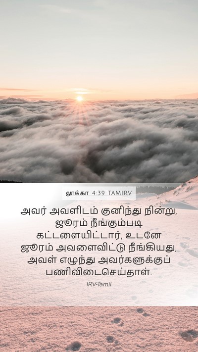 லூக்கா 4:39 TAMIRV Bible Verse Image