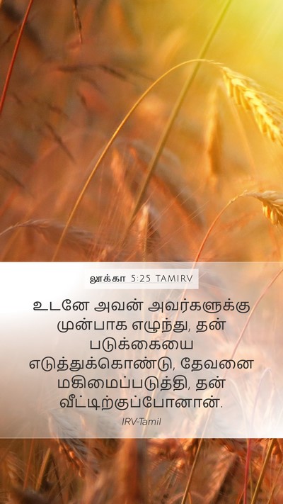 லூக்கா 5:25 TAMIRV Bible Verse Image