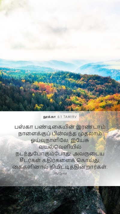 லூக்கா 6:1 TAMIRV Bible Verse Image