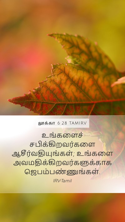 லூக்கா 6:28 TAMIRV Mobile Phone Wallpaper - உங்களைச் - Mobile Bible Verse Wallpaper