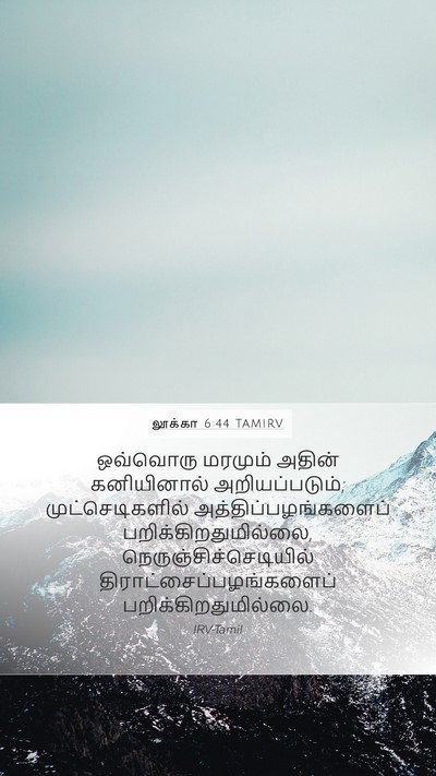லூக்கா 6:44 TAMIRV Bible Verse Image
