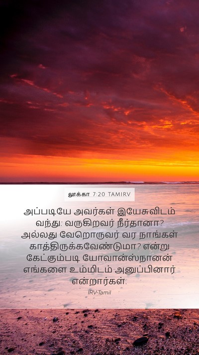 லூக்கா 7:20 TAMIRV Mobile Phone Wallpaper - அப்படியே அவர்கள் - Mobile Bible Verse Wallpaper