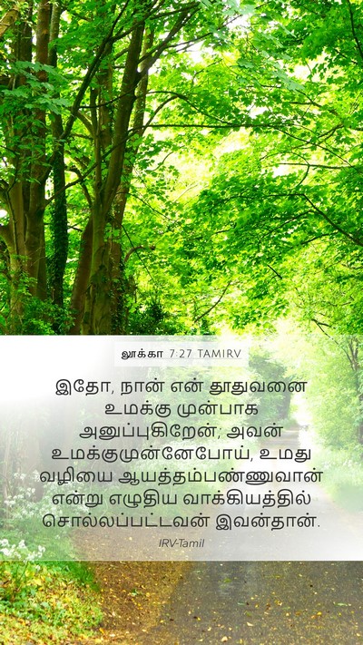 லூக்கா 7:27 TAMIRV Mobile Phone Wallpaper - இதோ, நான் என் - Mobile Bible Verse Wallpaper