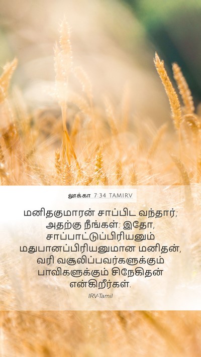 லூக்கா 7:34 TAMIRV Bible Verse Image
