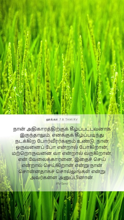 லூக்கா 7:8 TAMIRV Mobile Phone Wallpaper - நான் - Mobile Bible Verse Wallpaper