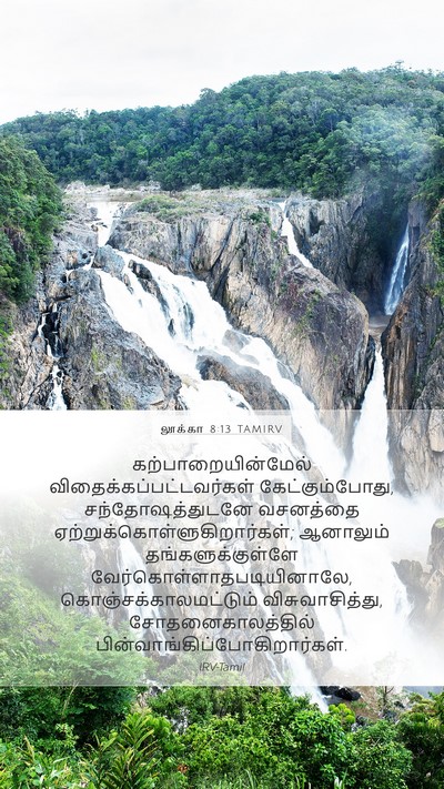 லூக்கா 8:13 TAMIRV Bible Verse Image