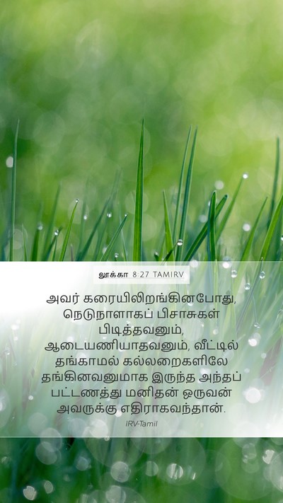 லூக்கா 8:27 TAMIRV Bible Verse Image