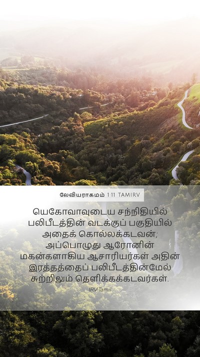 லேவியராகமம் 1:11 TAMIRV Bible Verse Image
