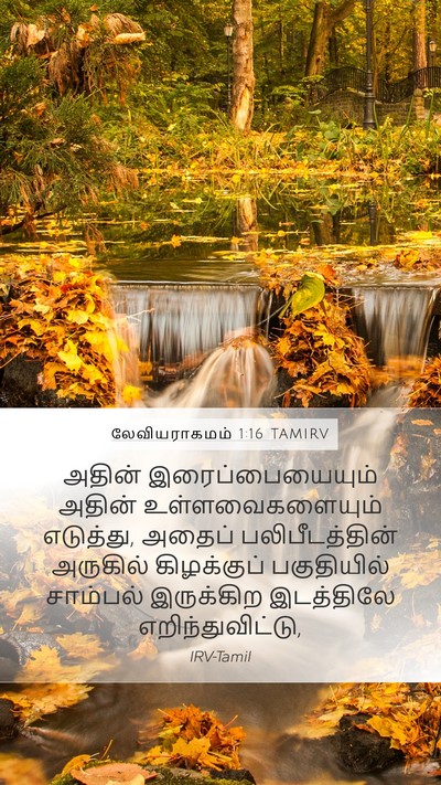 லேவியராகமம் 1:16 TAMIRV Bible Verse Image