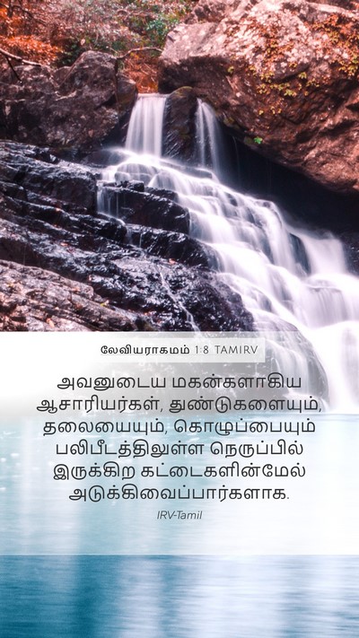 லேவியராகமம் 1:8 TAMIRV Mobile Phone Wallpaper - அவனுடைய - Mobile Bible Verse Wallpaper