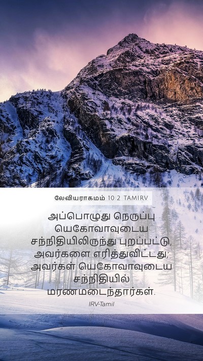 லேவியராகமம் 10:2 TAMIRV Bible Verse Image