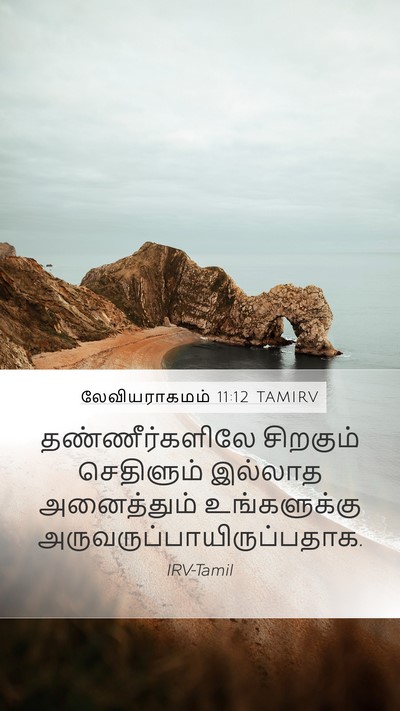 லேவியராகமம் 11:12 TAMIRV Mobile Phone Wallpaper - தண்ணீர்களிலே - Mobile Bible Verse Wallpaper