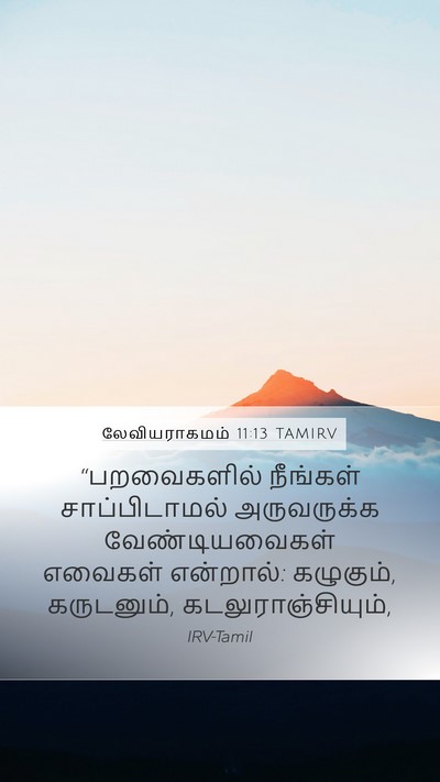 லேவியராகமம் 11:13 TAMIRV Mobile Phone Wallpaper - “பறவைகளில் - Mobile Bible Verse Wallpaper
