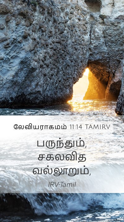 லேவியராகமம் 11:14 TAMIRV Mobile Phone Wallpaper - பருந்தும், சகலவித - Mobile Bible Verse Wallpaper