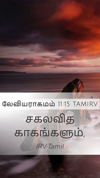 லேவியராகமம் 11:15 TAMIRV Mobile Phone Wallpaper - சகலவித - Mobile Bible Verse Wallpaper