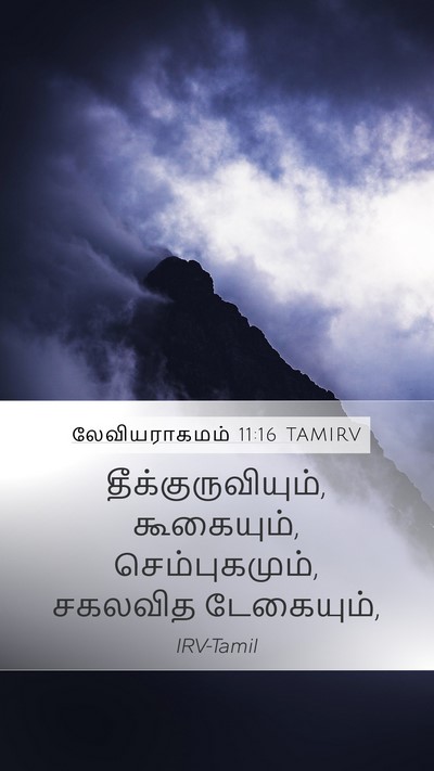 லேவியராகமம் 11:16 TAMIRV Mobile Phone Wallpaper - தீக்குருவியும், - Mobile Bible Verse Wallpaper