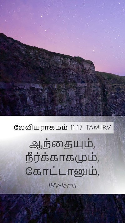 லேவியராகமம் 11:17 TAMIRV Mobile Phone Wallpaper - ஆந்தையும், - Mobile Bible Verse Wallpaper