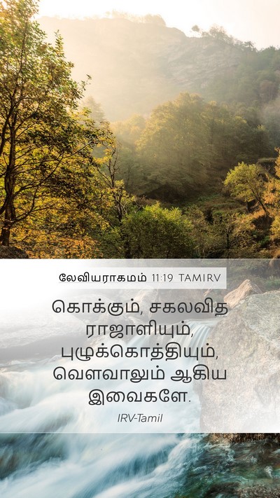 லேவியராகமம் 11:19 TAMIRV Bible Verse Image