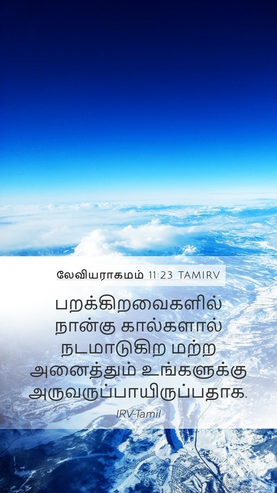 லேவியராகமம் 11:23 TAMIRV Bible Verse Image