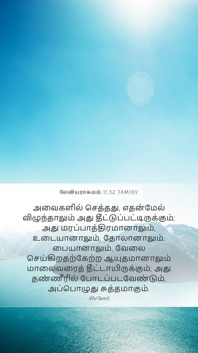 லேவியராகமம் 11:32 TAMIRV Bible Verse Image