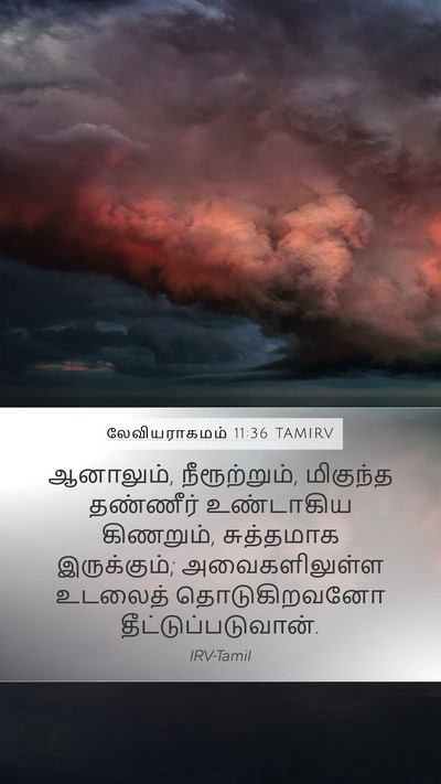 லேவியராகமம் 11:36 TAMIRV Mobile Phone Wallpaper - ஆனாலும், - Mobile Bible Verse Wallpaper