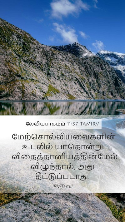 லேவியராகமம் 11:37 TAMIRV Mobile Phone Wallpaper -  - Mobile Bible Verse Wallpaper