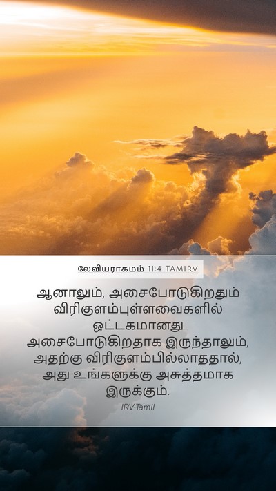 லேவியராகமம் 11:4 TAMIRV Mobile Phone Wallpaper - ஆனாலும், - Mobile Bible Verse Wallpaper