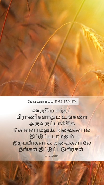 லேவியராகமம் 11:43 TAMIRV Bible Verse Image