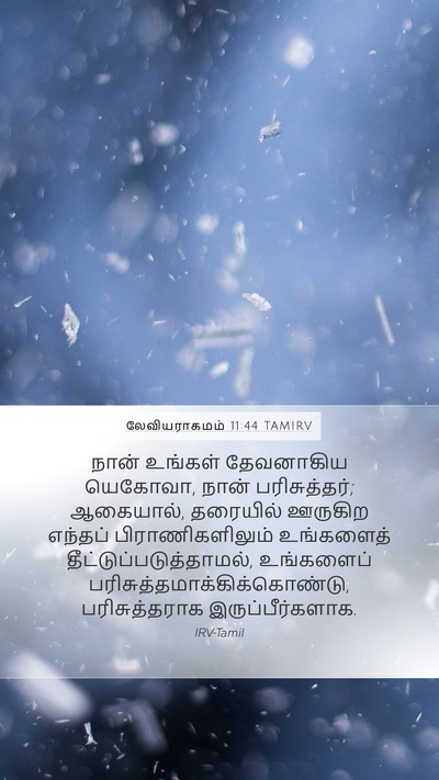 லேவியராகமம் 11:44 TAMIRV Bible Verse Image
