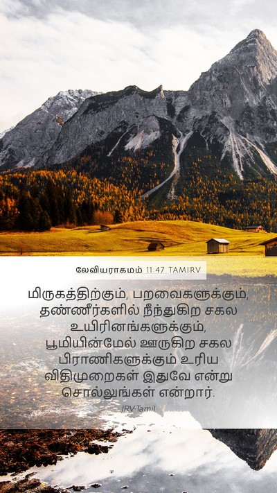 லேவியராகமம் 11:47 TAMIRV Bible Verse Image