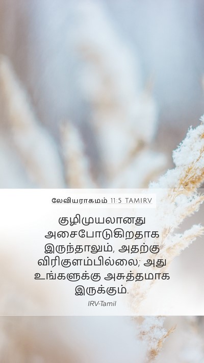 லேவியராகமம் 11:5 TAMIRV Bible Verse Image
