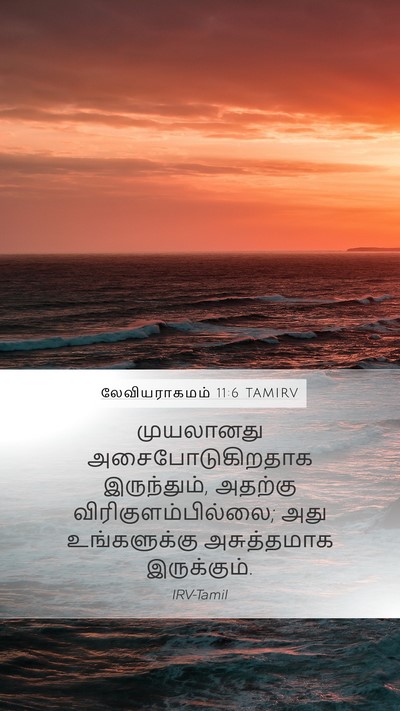 லேவியராகமம் 11:6 TAMIRV Mobile Phone Wallpaper - முயலானது - Mobile Bible Verse Wallpaper