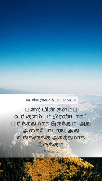 லேவியராகமம் 11:7 TAMIRV Bible Verse Image