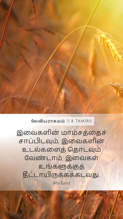 லேவியராகமம் 11:8 TAMIRV Bible Verse Image