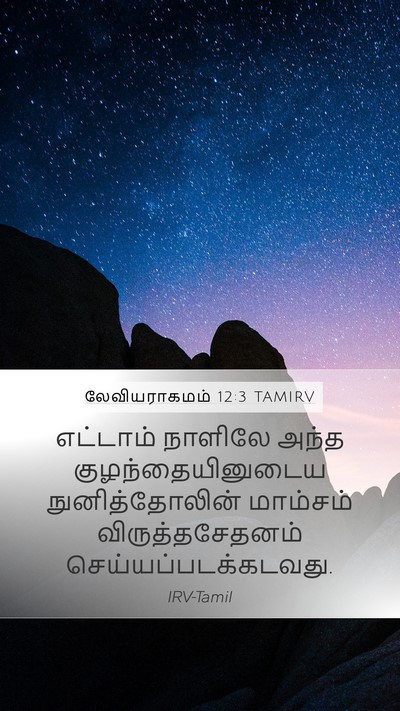 லேவியராகமம் 12:3 TAMIRV Bible Verse Image