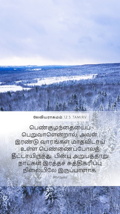 லேவியராகமம் 12:5 TAMIRV Mobile Phone Wallpaper - பெண்குழந்தையைப் - Mobile Bible Verse Wallpaper